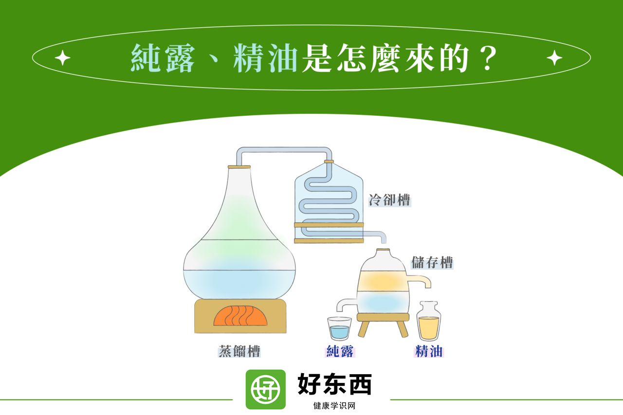 纯露全攻略：12种纯露用法让你由内而外都水嫩透亮