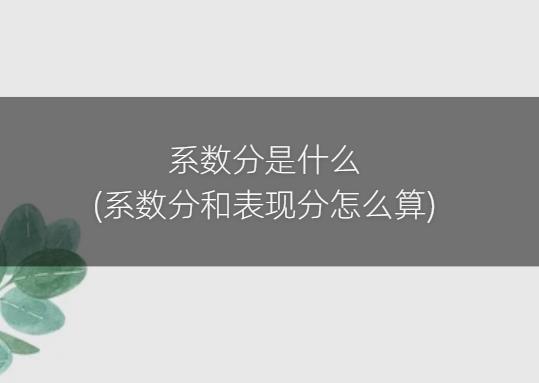 系数分是什么(系数分和表现分怎么算)