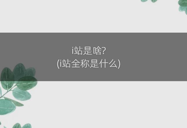 i站是啥?(i站全称是什么)