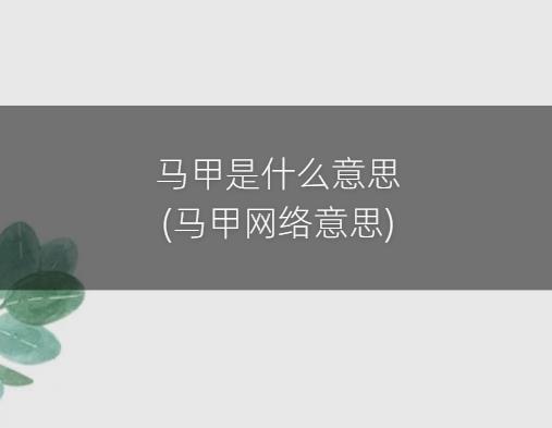 马甲是什么意思(马甲网络意思)