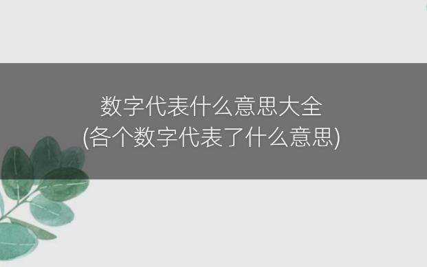 数字代表什么意思大全(各个数字代表了什么意思)