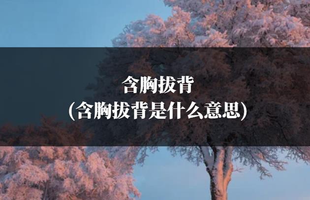 含胸拔背(含胸拔背是什么意思)