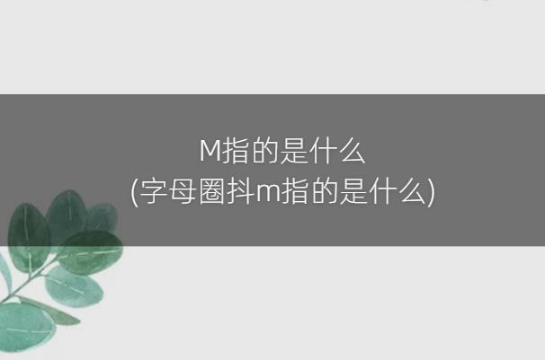 M指的是什么(字母圈抖m指的是什么)