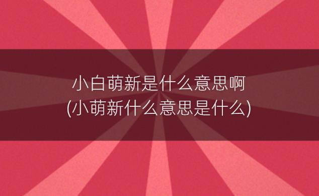 小白萌新是什么意思啊(小萌新什么意思是什么)