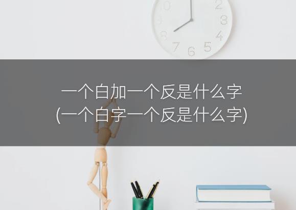 一个白加一个反是什么字(一个白字一个反是什么字)