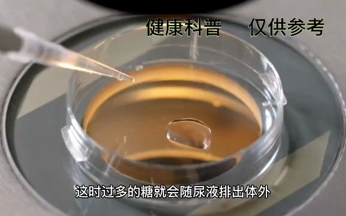 菠萝粥的功效与禁忌(菠萝粥的功效与禁忌，了解一下)