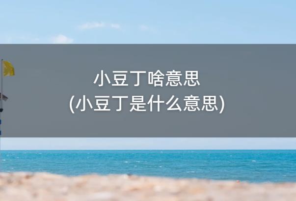 小豆丁啥意思(小豆丁是什么意思)