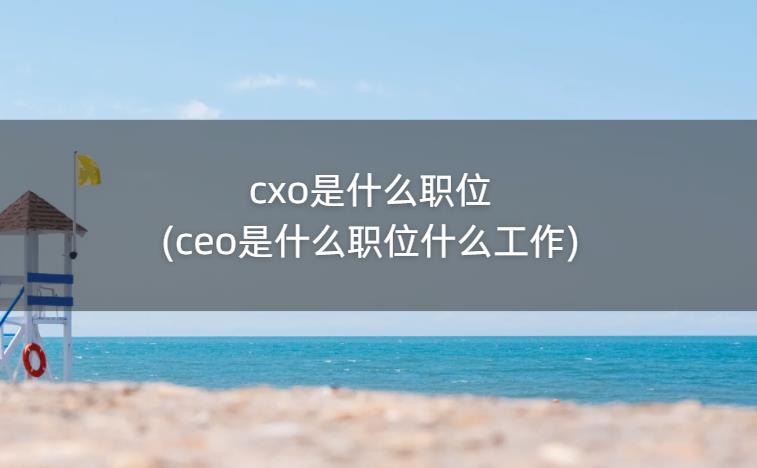 cxo是什么职位(ceo是什么职位什么工作)