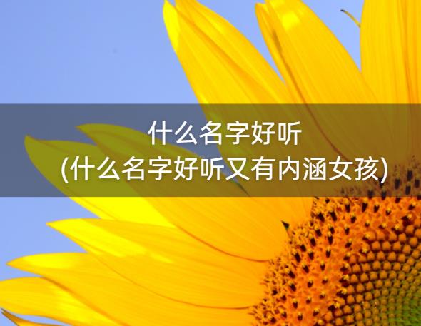 什么名字好听(什么名字好听又有内涵女孩)