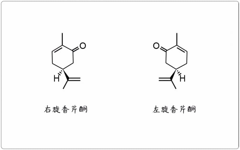 芳疗小知识｜单萜酮 - 香芹酮