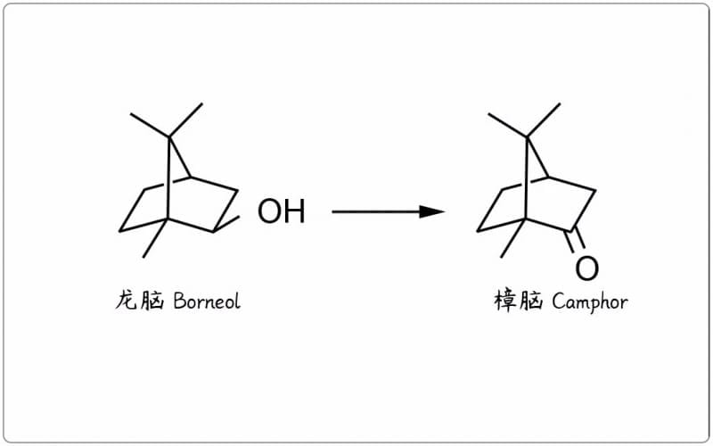 芳疗小知识｜单萜酮 - 樟脑