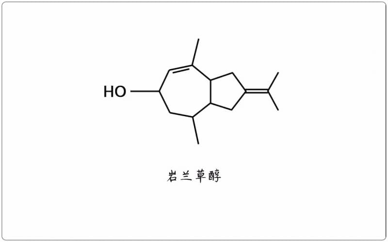 芳疗小知识｜倍半萜醇 - 岩兰草醇