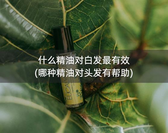 什么精油对白发最有效(哪种精油对头发有帮助)