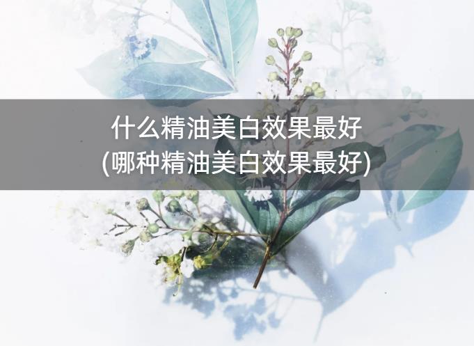 什么精油美白效果最好(哪种精油美白效果最好)