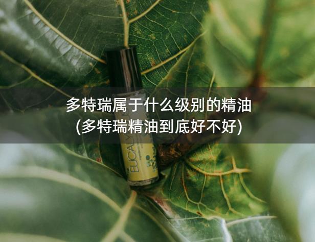 多特瑞属于什么级别的精油(多特瑞精油到底好不好)