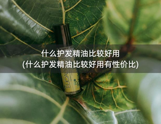 什么护发精油比较好用(什么护发精油比较好用有性价比)