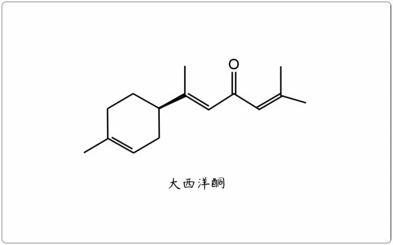 芳疗小知识｜倍半萜酮 - 大西洋酮