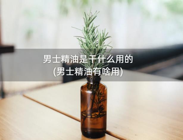 男士精油是干什么用的(男士精油有啥用)