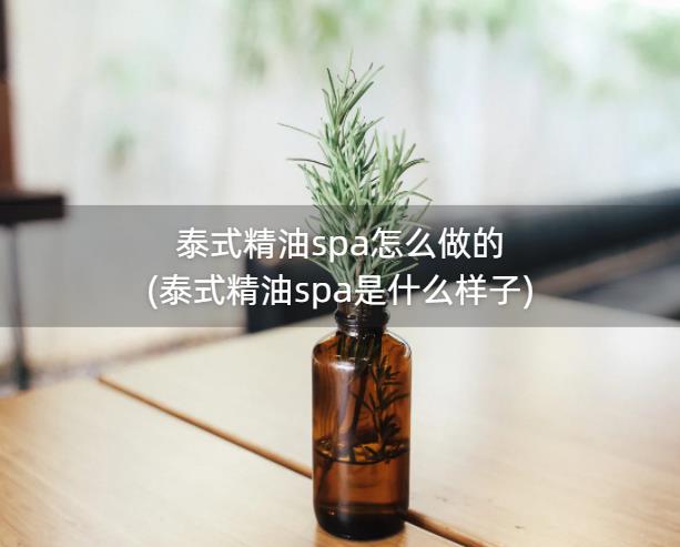 泰式精油spa怎么做的(泰式精油spa是什么样子)