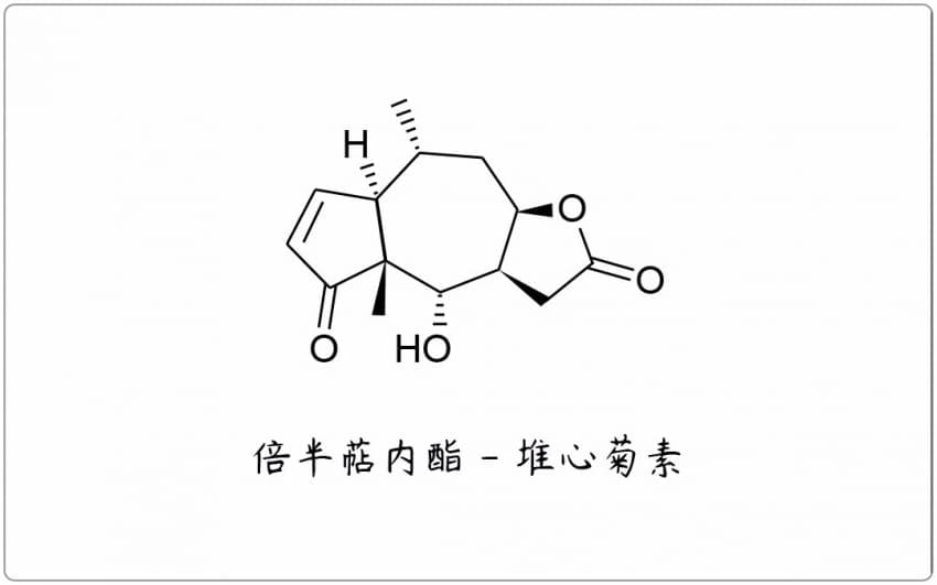 芳疗小知识｜倍半萜内酯 - 堆心菊素