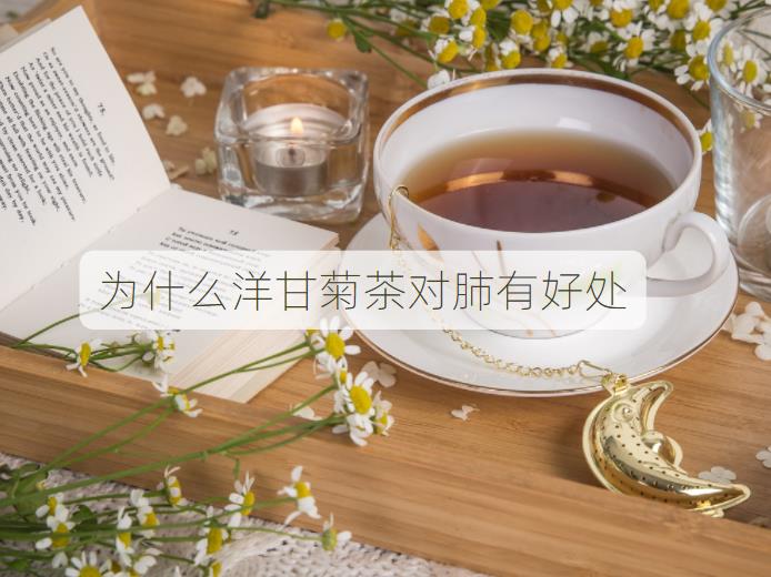 为什么洋甘菊茶对肺有好处