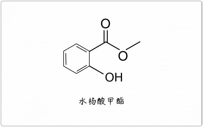 芳疗小知识｜苯基酯 - 水杨酸甲酯