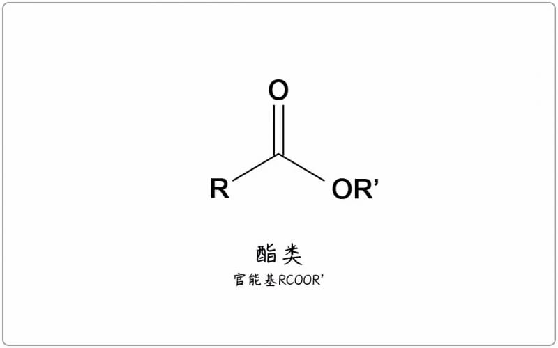 芳疗小知识｜酯类总论