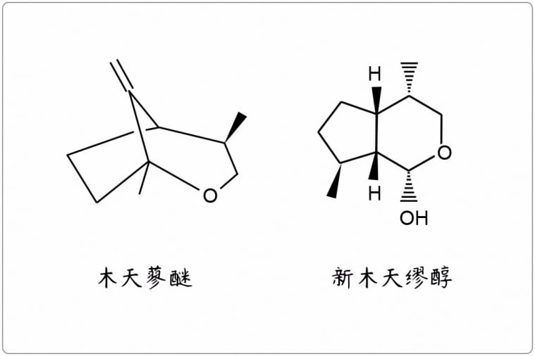 芳疗小知识｜萜烯环醚（氧化物类）