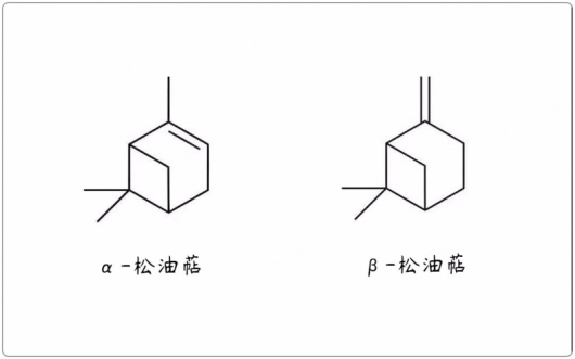 芳疗小知识｜单萜烯 - 松油萜