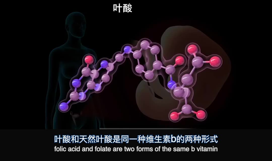 杉树寄生的功效与作用(杉树寄生：功效与作用大揭秘)