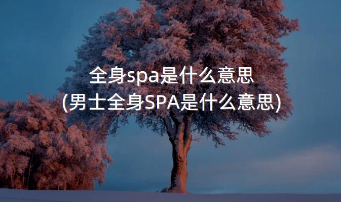 全身spa是什么意思(男士全身SPA是什么意思)