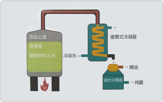 芳疗小知识｜纯露品质的判断