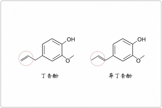 芳疗小知识｜酚类 - 丁香酚