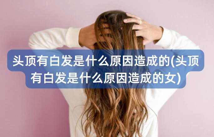 头顶有白发是什么原因造成的(头顶有白发是什么原因造成的女)