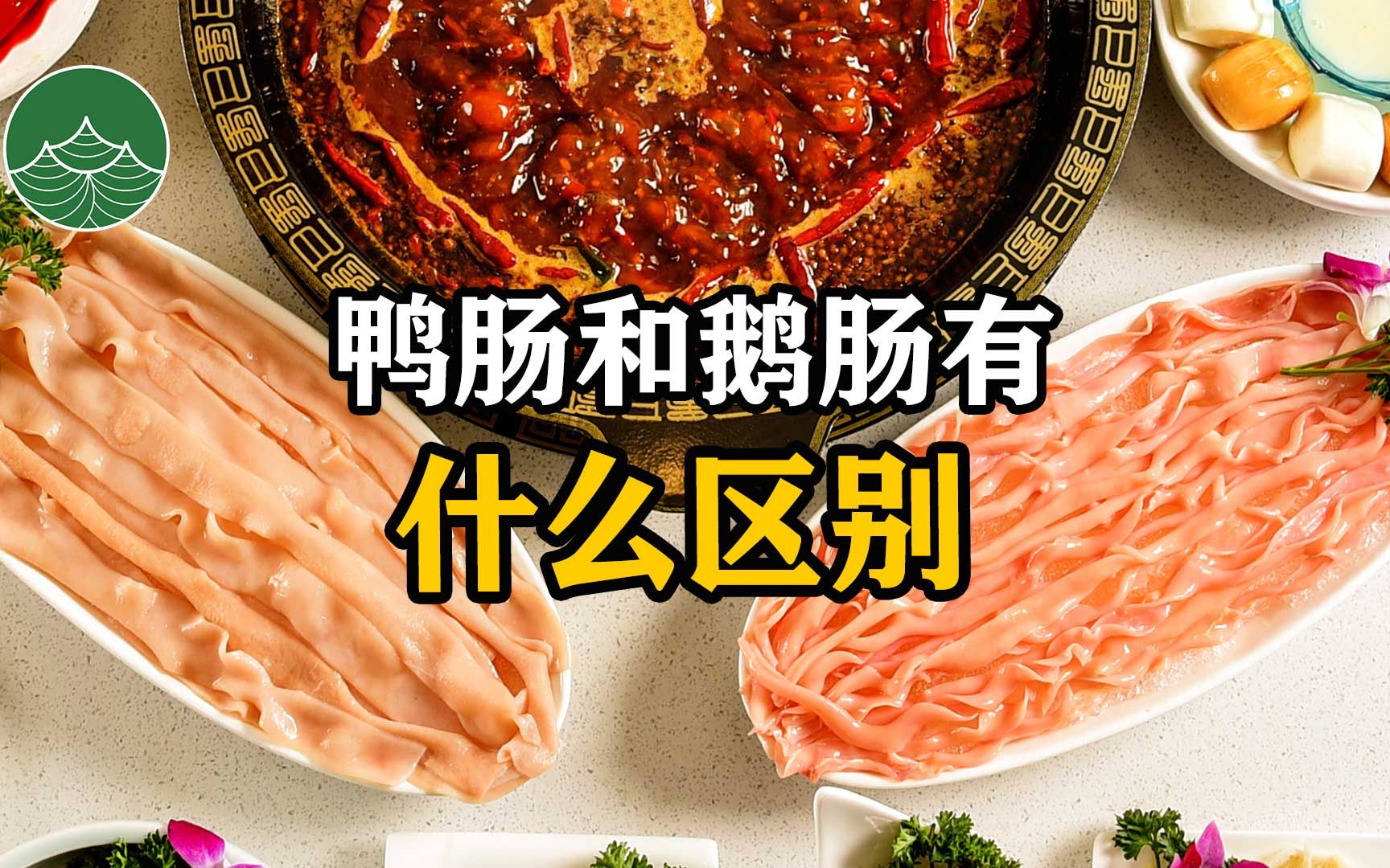 鸭肠的功效与作用(鸭肠的功效与作用：增强免疫力，促进消化吸收) 