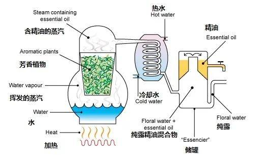 精油百科_精油、原精、纯露，分不清？ 怎么区分，好东西告诉你