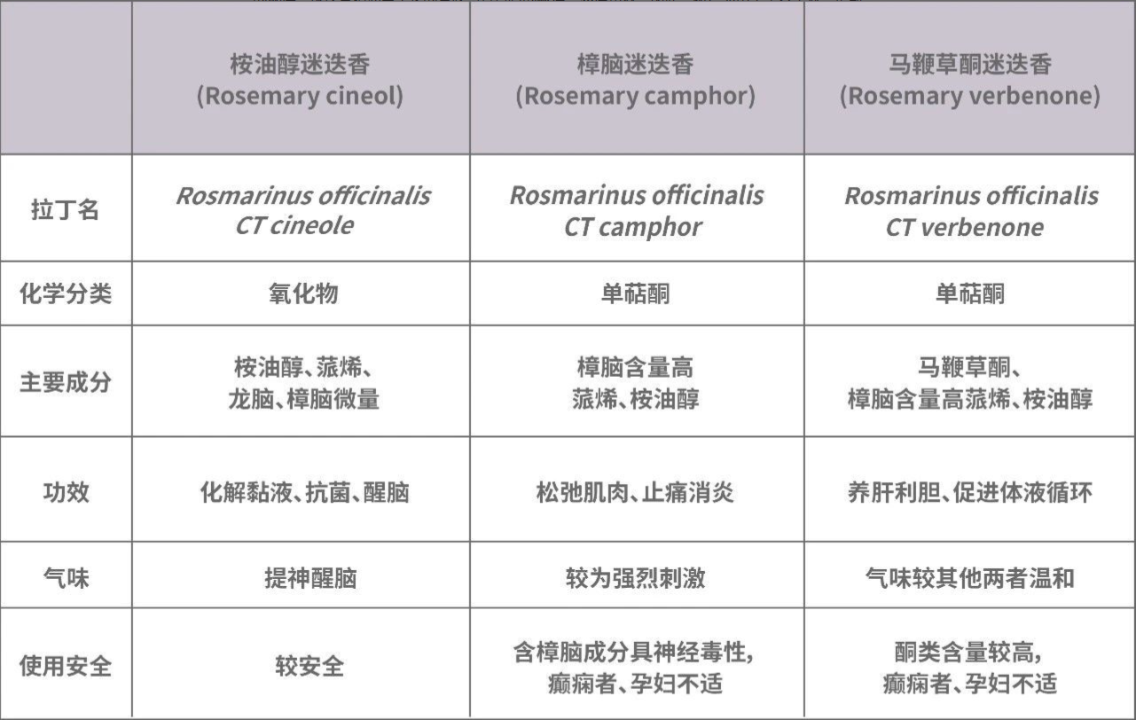 精油百科｜桉油醇迷迭香