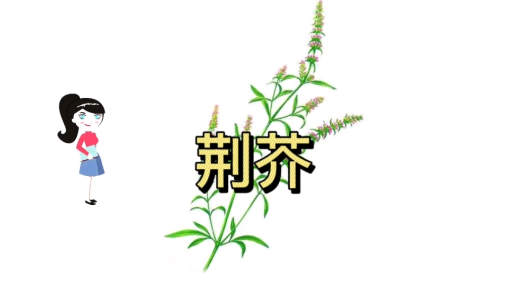 防风荆芥同入药的功效(防风荆芥：祛风散寒、通窍开郁的良药) ...