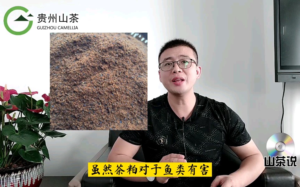 喝油茶的功效与作用(喝油茶有何功效？-解析油茶的作用与好处) ...