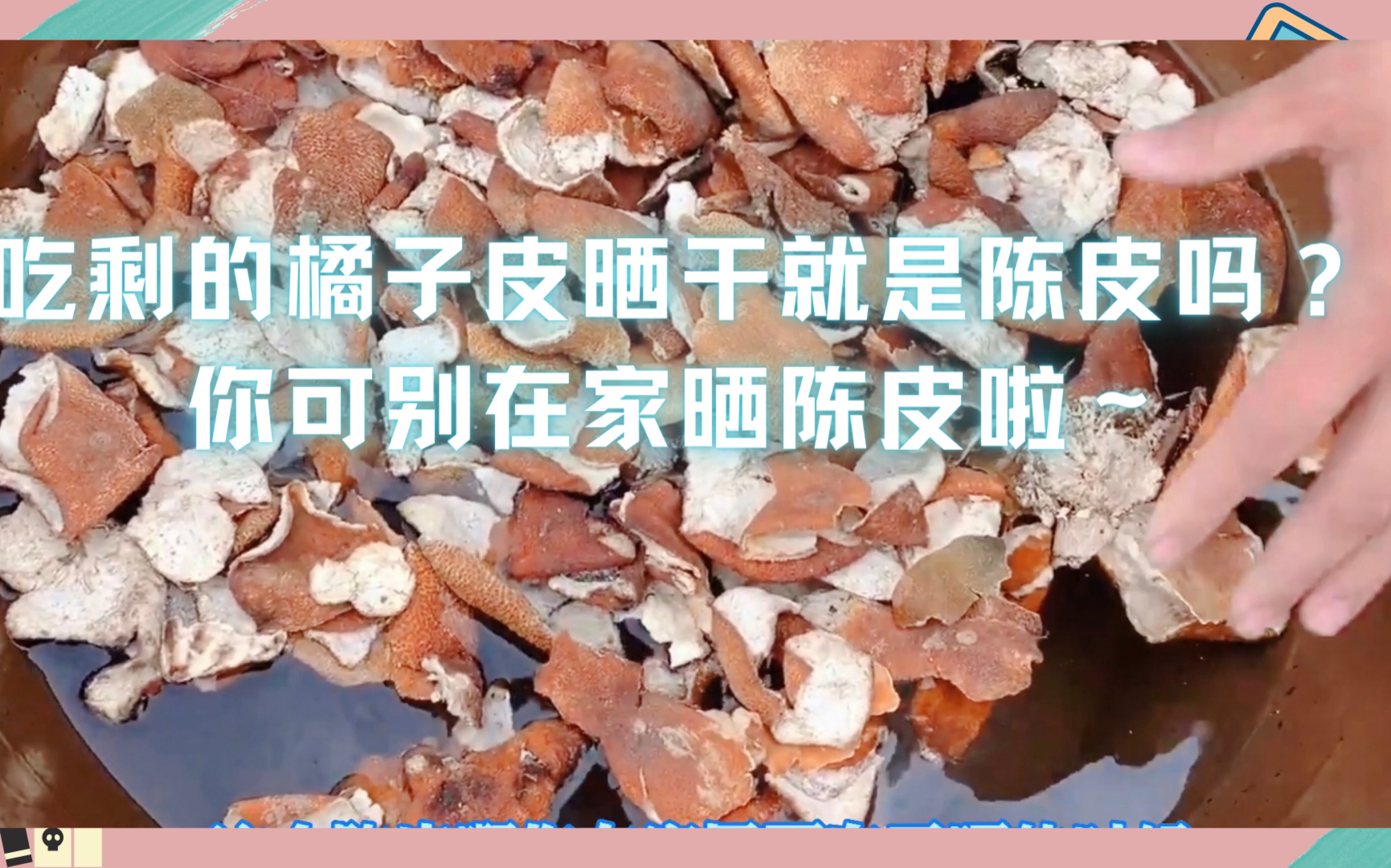 橙子皮晒干有什么功效(橙皮晒干功效大揭秘，你知道吗？)