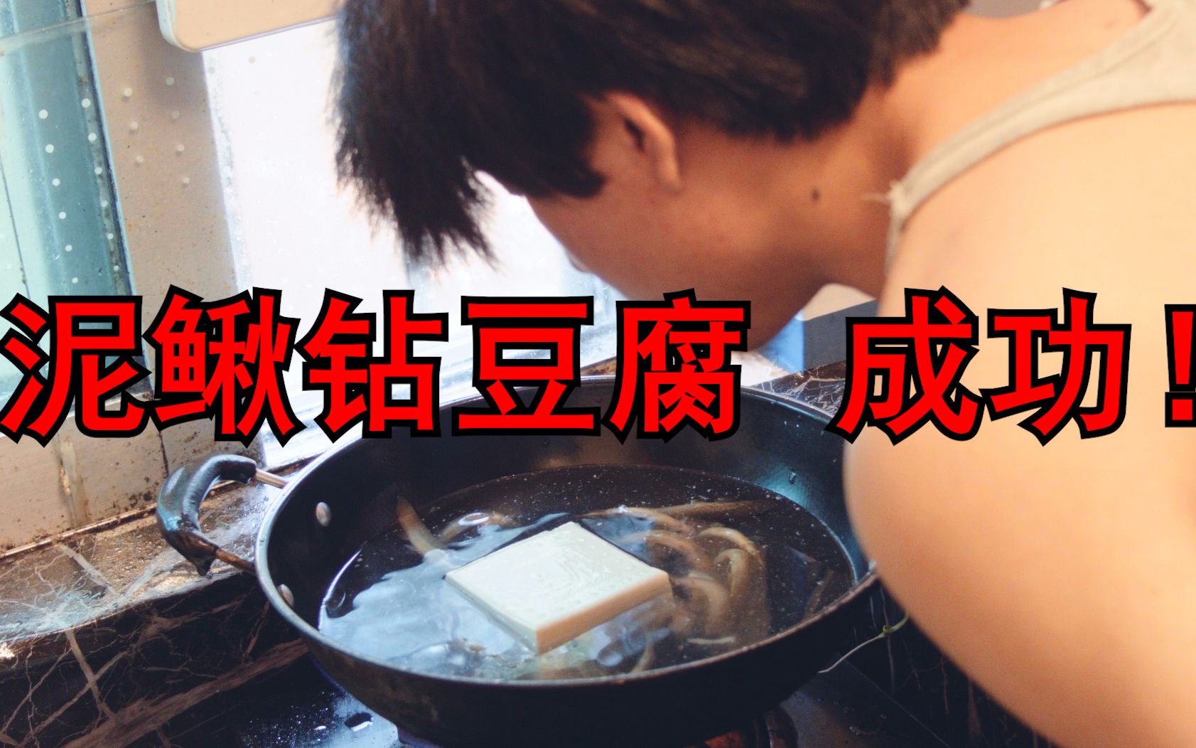 泥鳅钻豆腐的功效(泥鳅钻豆腐：美味养生的佳品)