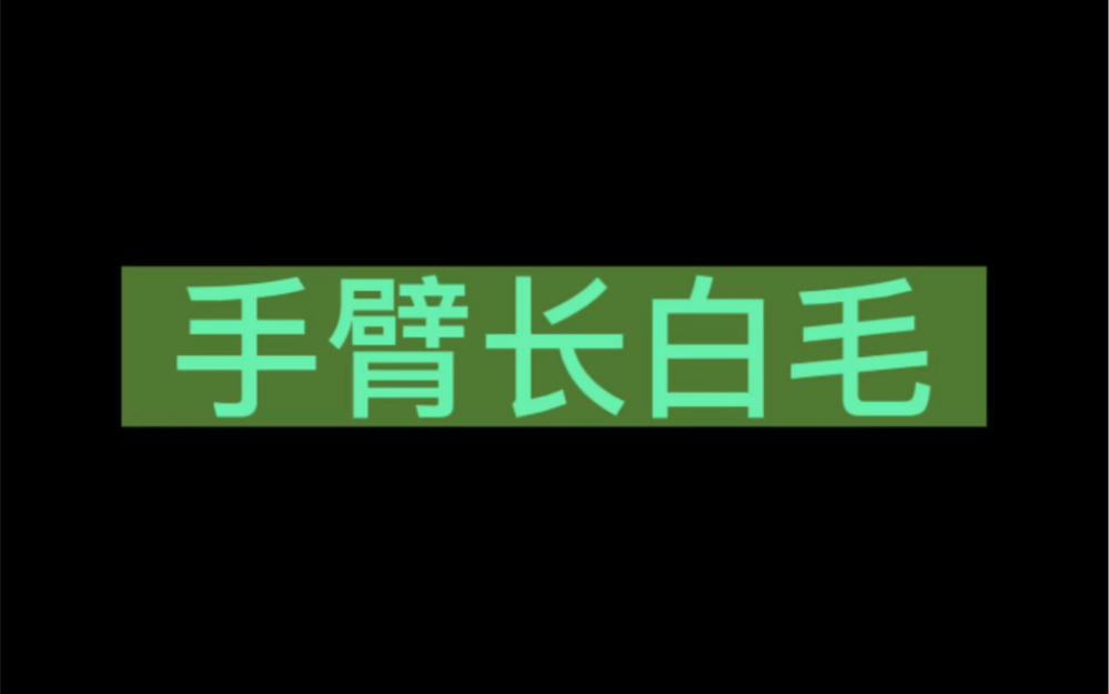 白毛鸡有什么功效(白毛鸡功效大揭秘，神奇的养生之选)