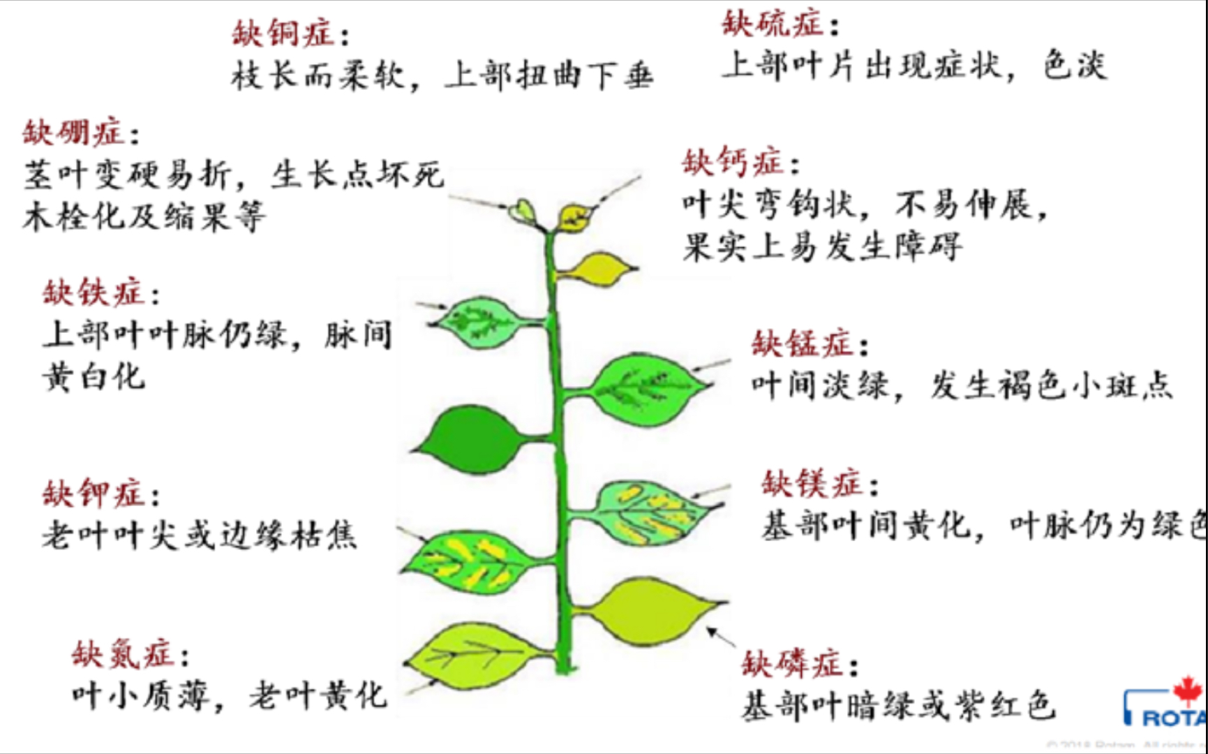 吉祥安神丸的功效(吉祥安神丸-中药安神助眠，缓解焦虑压力) ...