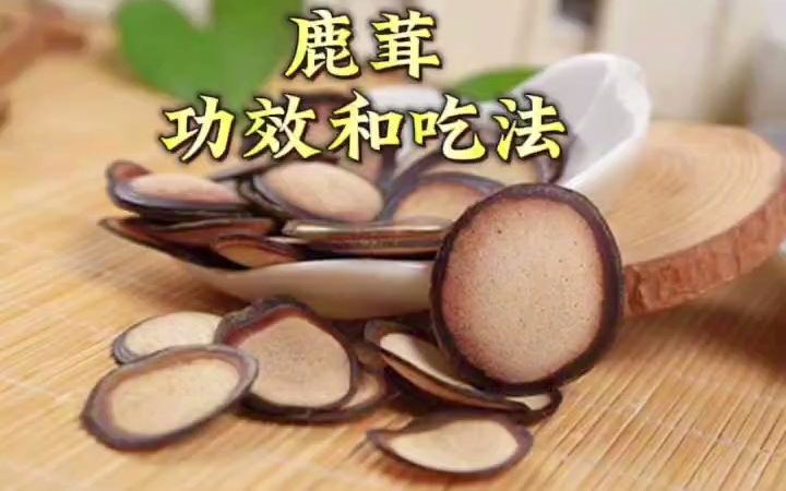 鹿茸菌功效与作用(鹿茸菌：延缓衰老、增强免疫力的神奇菌种) ...