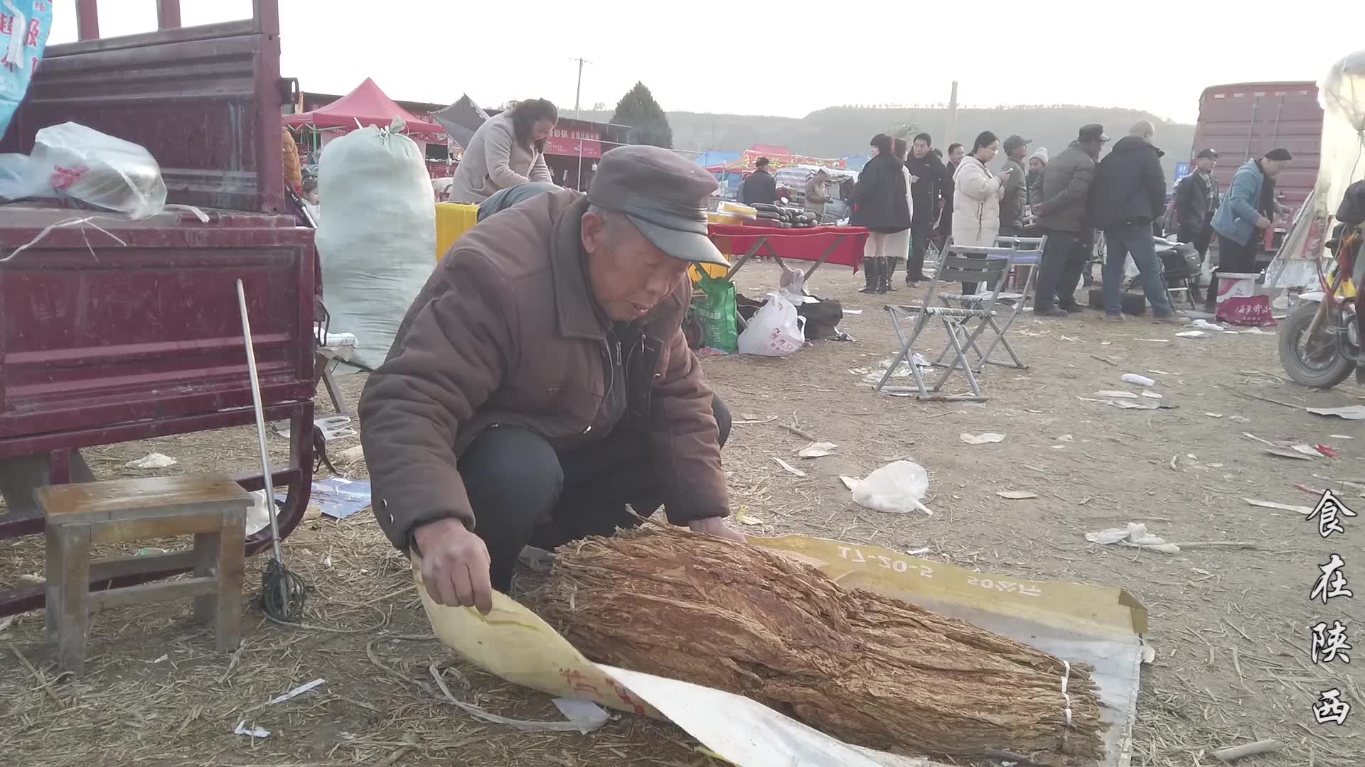 旱烟叶的功效作用(旱烟叶的功效：祛痰止咳、清热解毒、润肺止渴) ...