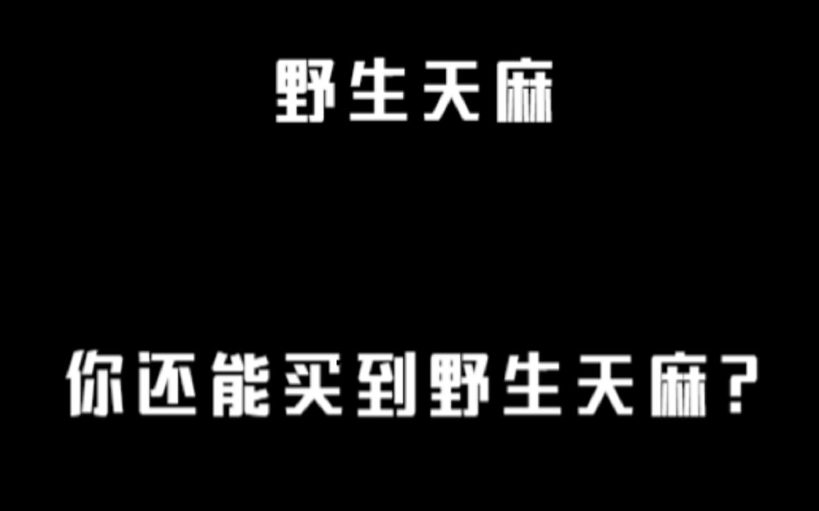 野生天麻泡酒的功效(野生天麻泡酒：提神醒脑，缓解疲劳)