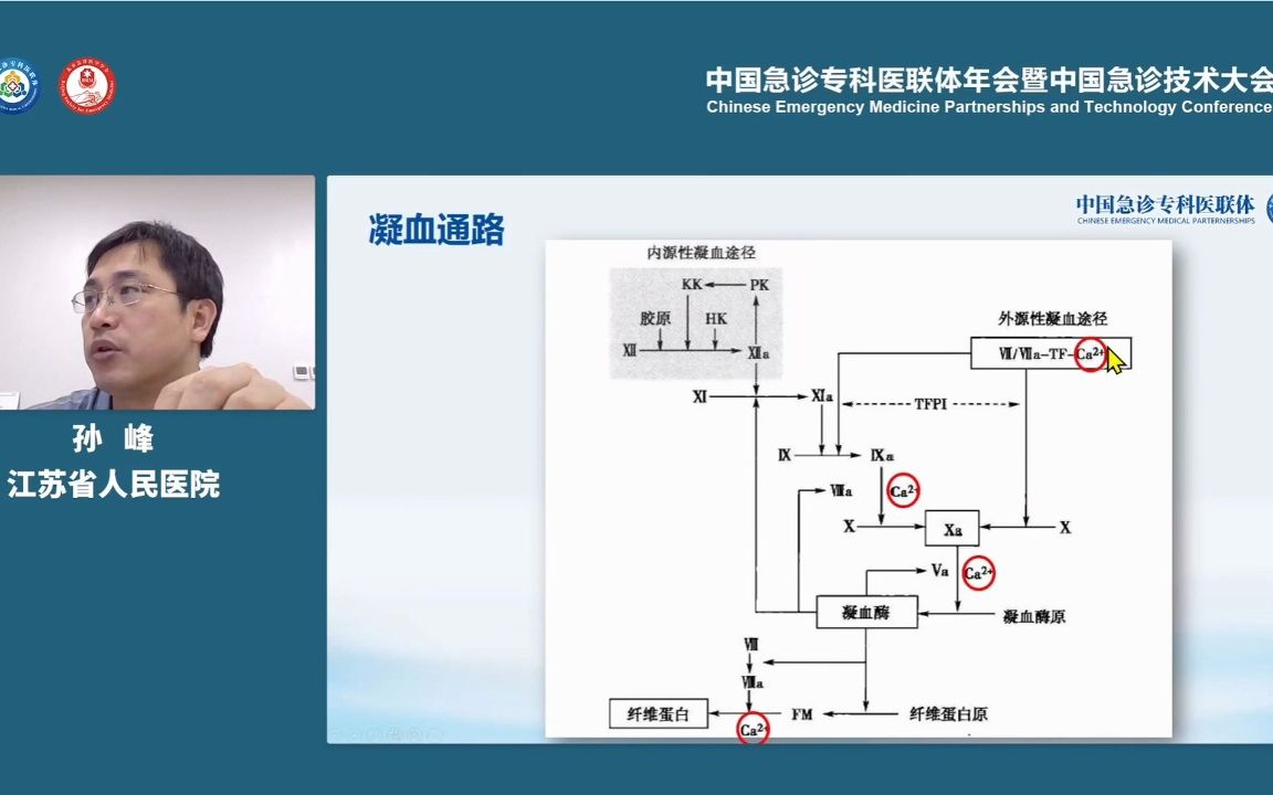 蜜麸炒香橼功效(蜜麸炒香橼：祛湿止痛，养颜美容的好选择)