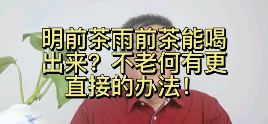雨前茶的功效(雨前茶功效大揭秘，提高免疫力，抗氧化，减肥瘦身) ...
