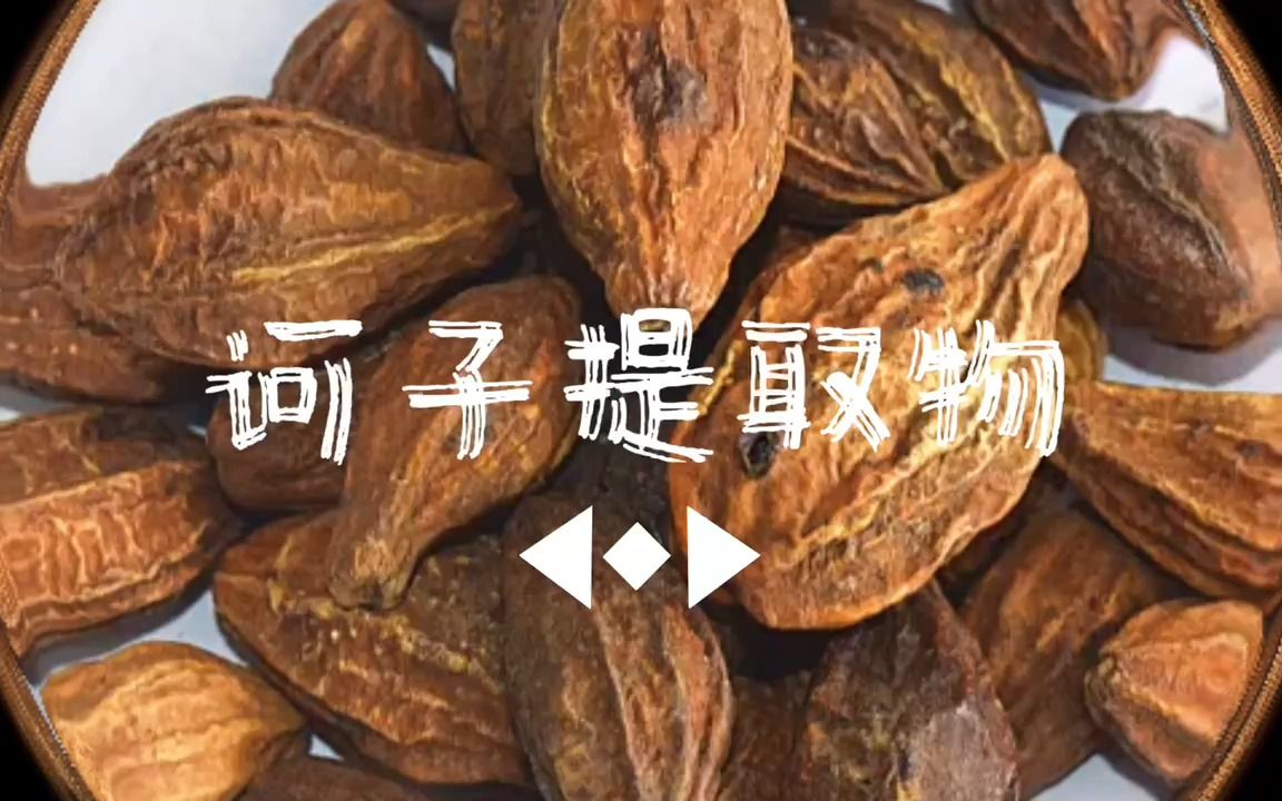 槮子的功效(槮子功效大揭秘，提高免疫力，预防疾病)