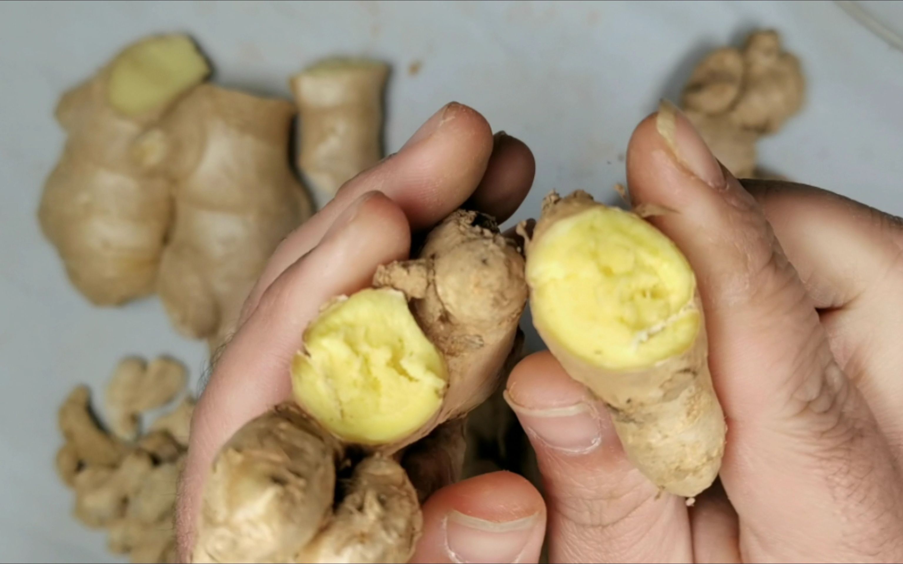 食母生片的作用与功效(食母生片：缓解胃肠道不适，改善消化问题) ...